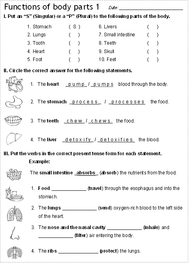 Worksheets and Handouts for First Grade Unit 6 (Charts of human body