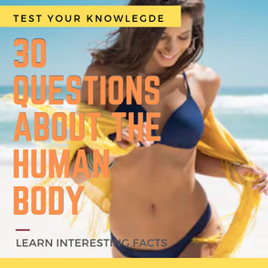 Quiz of Human body